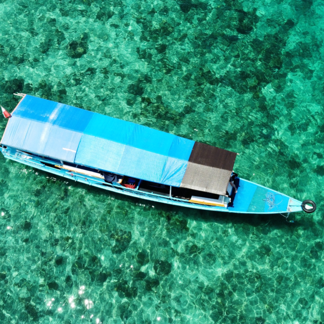 dji_fly_20230412_113756_724_1681281435278_photo_optimized (4)
